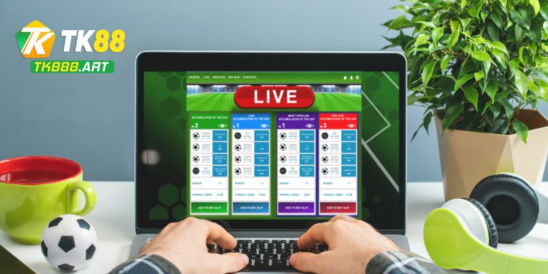 Một vài lưu ý quan trọng bạn cần biết